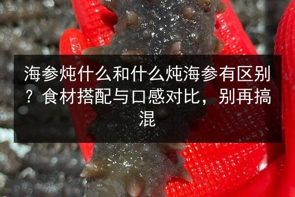 海参炖什么和什么炖海参有区别?食材搭配与口感对比,别再搞混