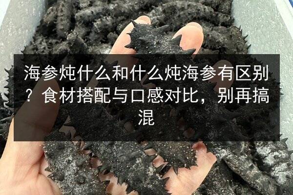 海参炖什么和什么炖海参有区别?食材搭配与口感对比,别再搞混
