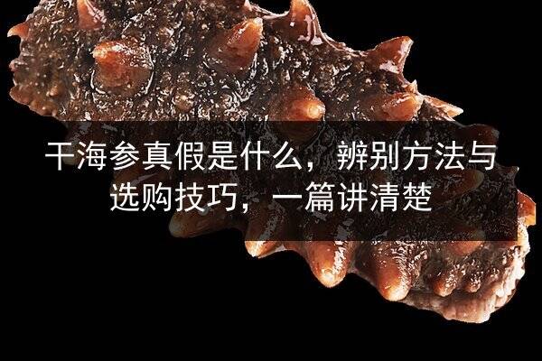 干海参真假是什么，辨别方法与选购技巧，一篇讲清楚