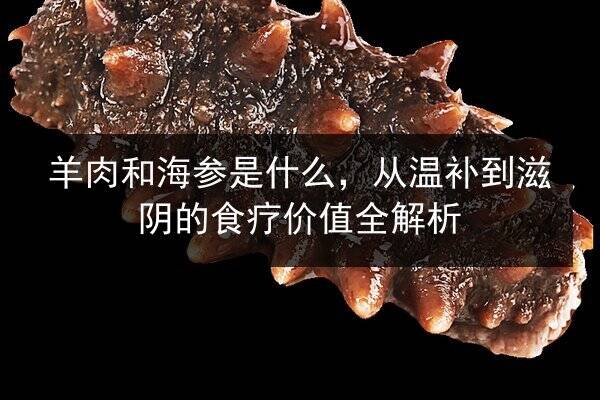 羊肉和海参是什么,从温补到滋阴的食疗价值全解析
