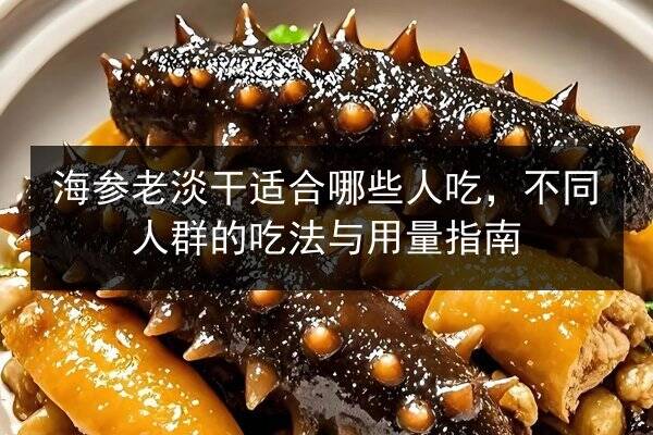 海参老淡干适合哪些人吃，不同人群的吃法与用量指南