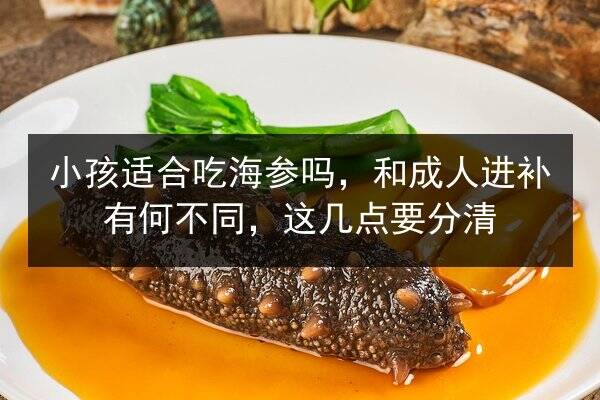 小孩适合吃海参吗，和成人进补有何不同，这几点要分清