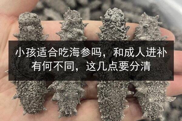 小孩适合吃海参吗，和成人进补有何不同，这几点要分清