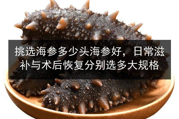 挑选海参多少头海参好，日常滋补与术后恢复分别选多大规格