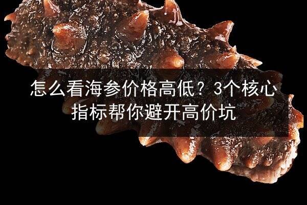 怎么看海参价格高低?3个核心指标帮你避开高价坑