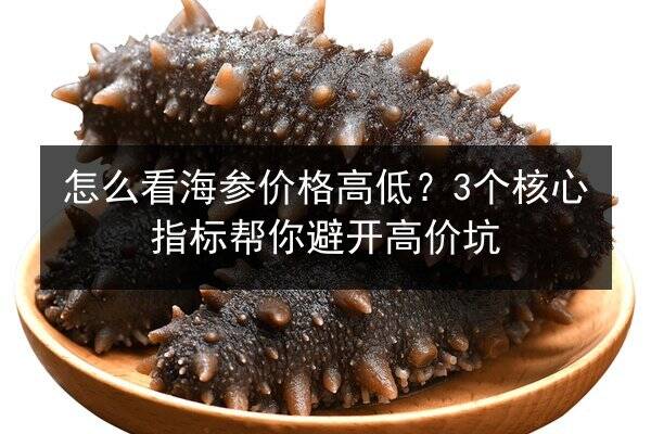 怎么看海参价格高低?3个核心指标帮你避开高价坑