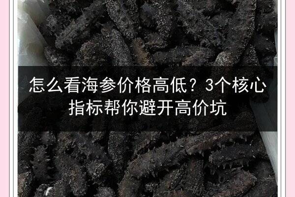 怎么看海参价格高低?3个核心指标帮你避开高价坑