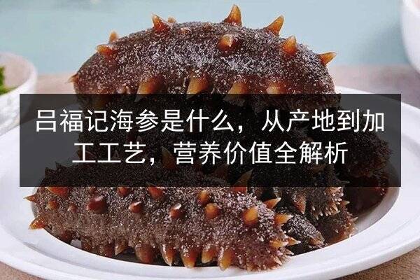 吕福记海参是什么，从产地到加工工艺，营养价值全解析