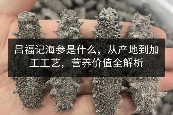 吕福记海参是什么，从产地到加工工艺，营养价值全解析