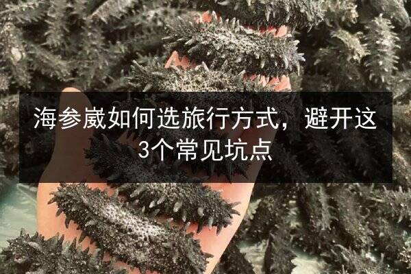 海参崴如何选旅行方式,避开这3个常见坑点