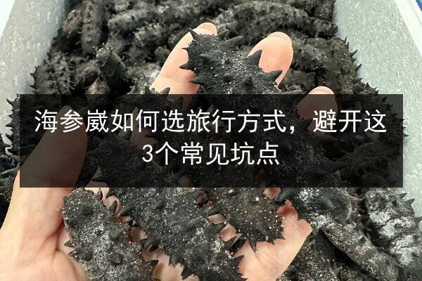 海参崴如何选旅行方式,避开这3个常见坑点