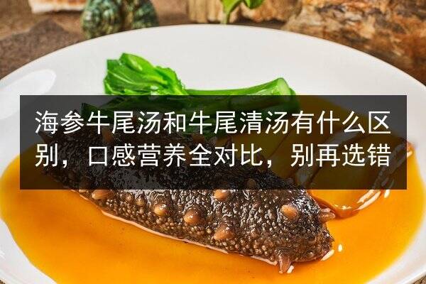 海参牛尾汤和牛尾清汤有什么区别，口感营养全对比，别再选错