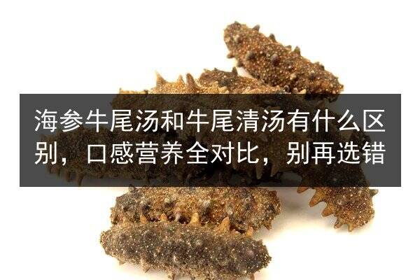 海参牛尾汤和牛尾清汤有什么区别，口感营养全对比，别再选错