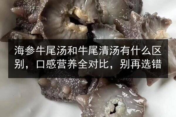海参牛尾汤和牛尾清汤有什么区别，口感营养全对比，别再选错