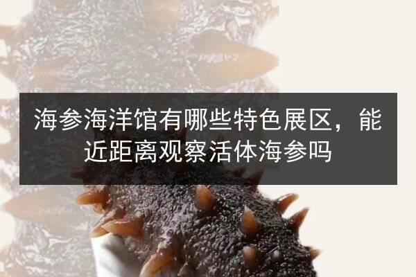 海参海洋馆有哪些特色展区，能近距离观察活体海参吗
