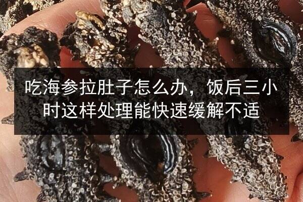 吃海参拉肚子怎么办，饭后三小时这样处理能快速缓解不适