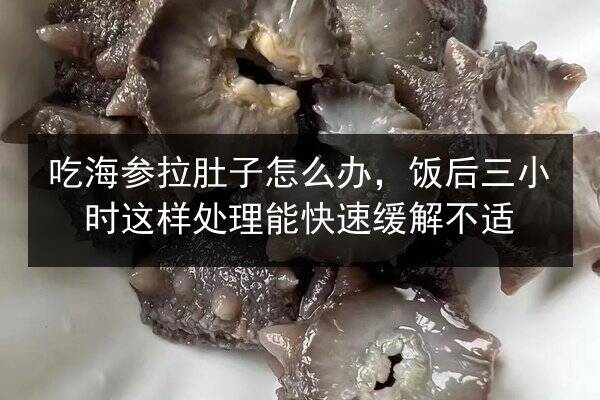 吃海参拉肚子怎么办，饭后三小时这样处理能快速缓解不适