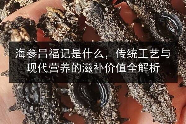海参吕福记是什么,传统工艺与现代营养的滋补价值全解析