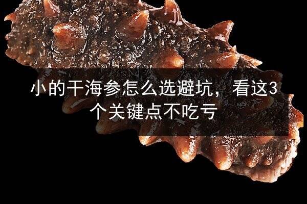 小的干海参怎么选避坑,看这3个关键点不吃亏