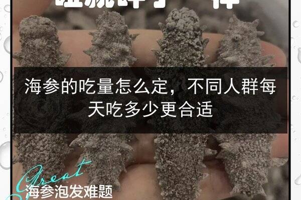 海参的吃量怎么定，不同人群每天吃多少更合适