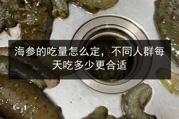海参的吃量怎么定，不同人群每天吃多少更合适