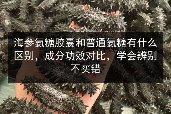 海参氨糖胶囊和普通氨糖有什么区别,成分功效对比,学会辨别不买错