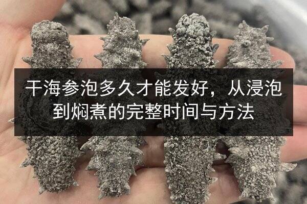 干海参泡多久才能发好,从浸泡到焖煮的完整时间与方法