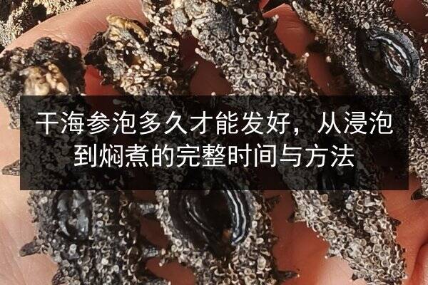 干海参泡多久才能发好,从浸泡到焖煮的完整时间与方法