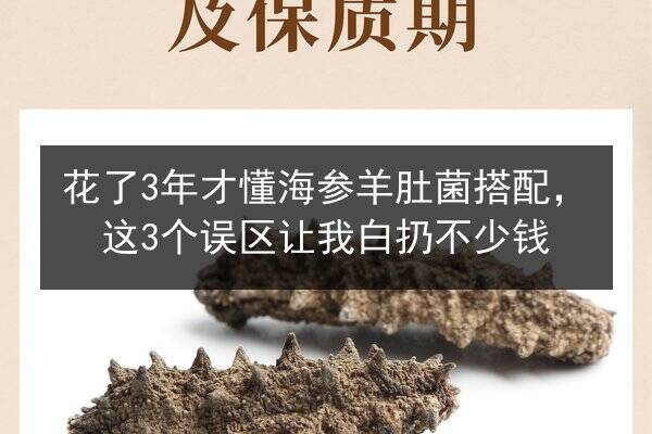 花了3年才懂海参羊肚菌搭配,这3个误区让我白扔不少钱