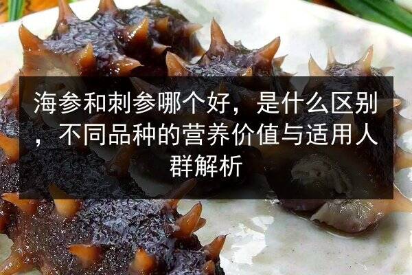 海参和刺参哪个好，是什么区别，不同品种的营养价值与适用人群解析