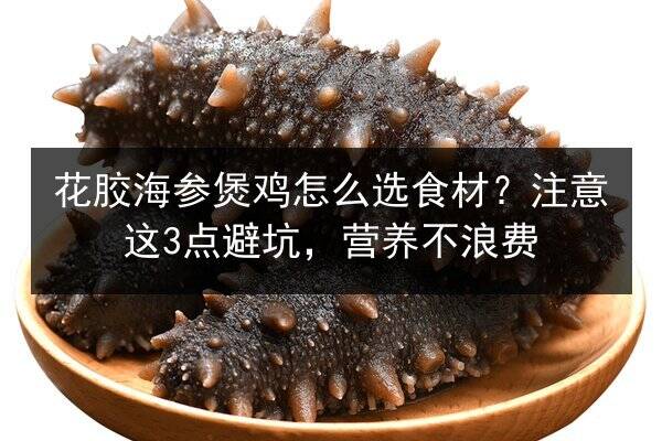 花胶海参煲鸡怎么选食材?注意这3点避坑,营养不浪费