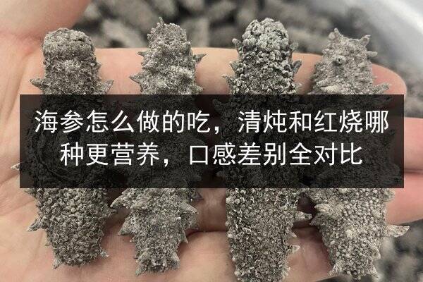 海参怎么做的吃，清炖和红烧哪种更营养，口感差别全对比