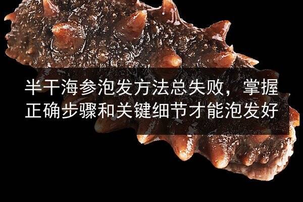 半干海参泡发方法总失败，掌握正确步骤和关键细节才能泡发好