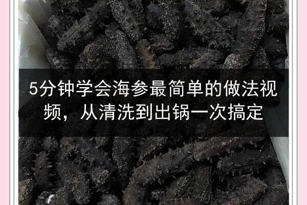 5分钟学会海参最简单的做法视频，从清洗到出锅一次搞定