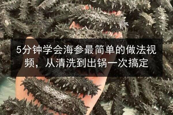 5分钟学会海参最简单的做法视频，从清洗到出锅一次搞定
