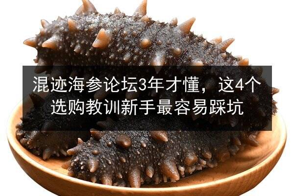 混迹海参论坛3年才懂，这4个选购教训新手最容易踩坑