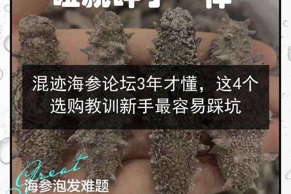混迹海参论坛3年才懂，这4个选购教训新手最容易踩坑