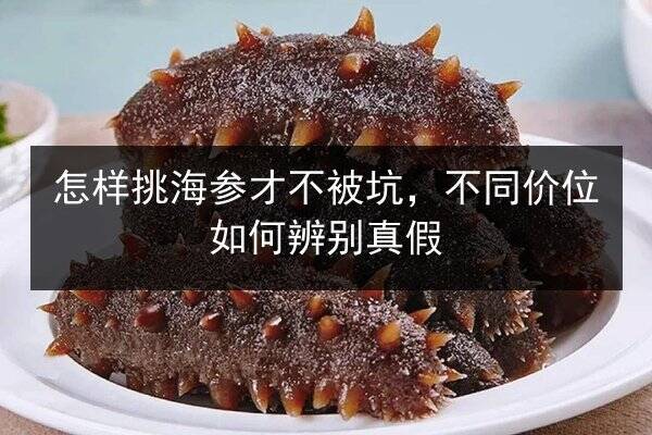 怎样挑海参才不被坑,不同价位如何辨别真假