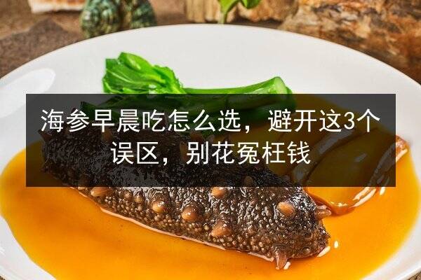 海参早晨吃怎么选,避开这3个误区,别花冤枉钱