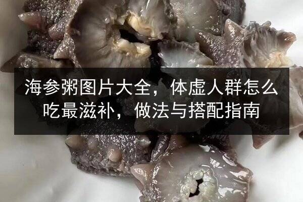 海参粥图片大全,体虚人群怎么吃最滋补,做法与搭配指南