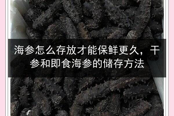 海参怎么存放才能保鲜更久，干参和即食海参的储存方法
