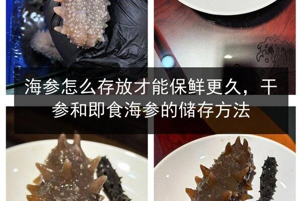 海参怎么存放才能保鲜更久，干参和即食海参的储存方法