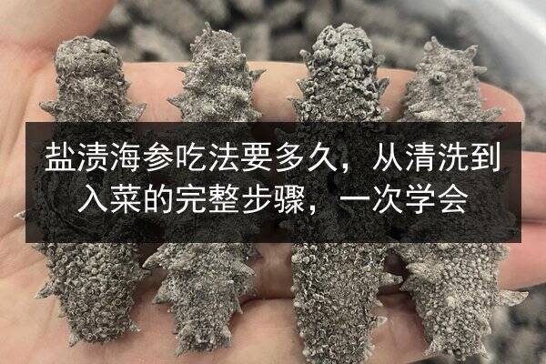 盐渍海参吃法要多久,从清洗到入菜的完整步骤,一次学会