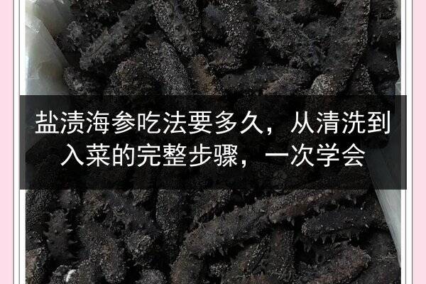 盐渍海参吃法要多久,从清洗到入菜的完整步骤,一次学会