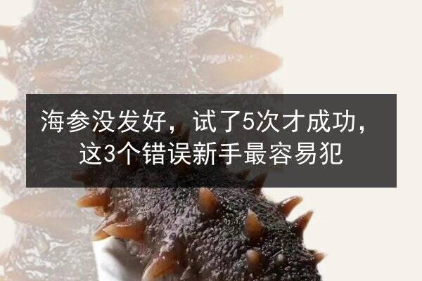 海参没发好,试了5次才成功,这3个错误新手最容易犯