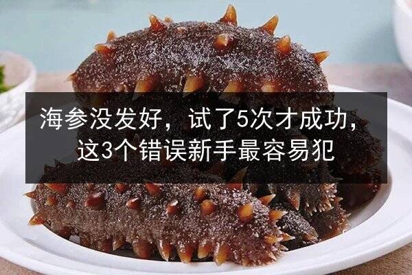 海参没发好,试了5次才成功,这3个错误新手最容易犯