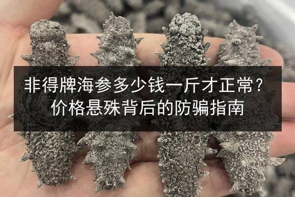 非得牌海参多少钱一斤才正常?价格悬殊背后的防骗指南