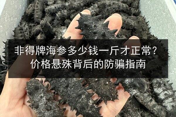 非得牌海参多少钱一斤才正常?价格悬殊背后的防骗指南