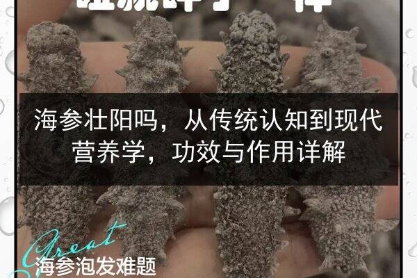 海参壮阳吗,从传统认知到现代营养学,功效与作用详解