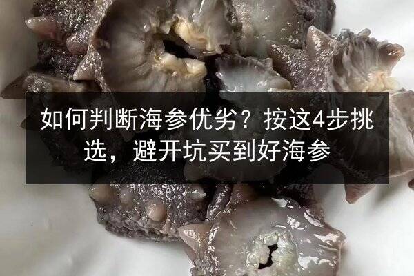 如何判断海参优劣?按这4步挑选,避开坑买到好海参